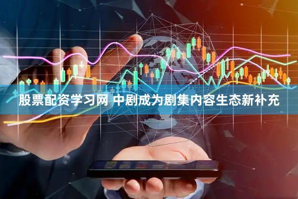 股票配资学习网 中剧成为剧集内容生态新补充